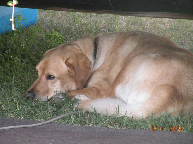 DSCN0712.JPG