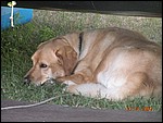 DSCN0712.JPG