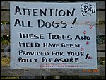DSCN0992.JPG