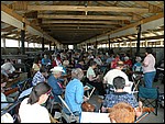 DSCN0993.JPG