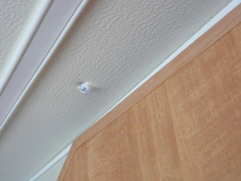 P1050038.JPG